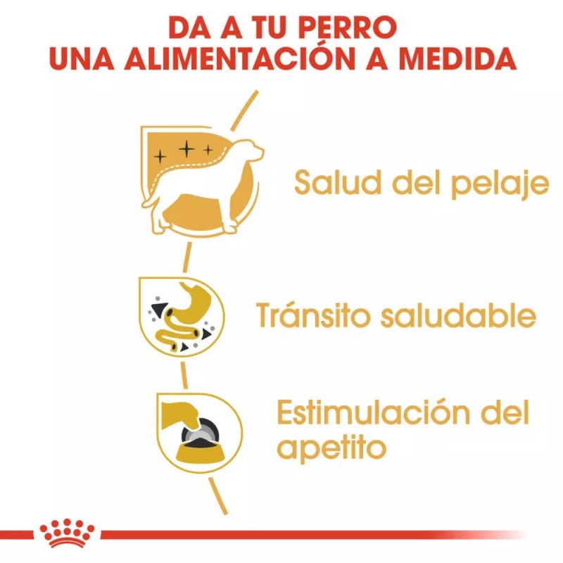 Paté Royal Canin BHN para Perros Chihuahua Adulto 12x85gr