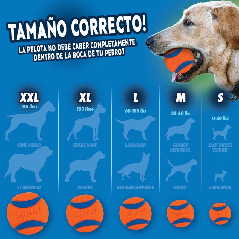 Chuckit! Juguete Ultra Ball 1-Pack Medium Pelota para Perros