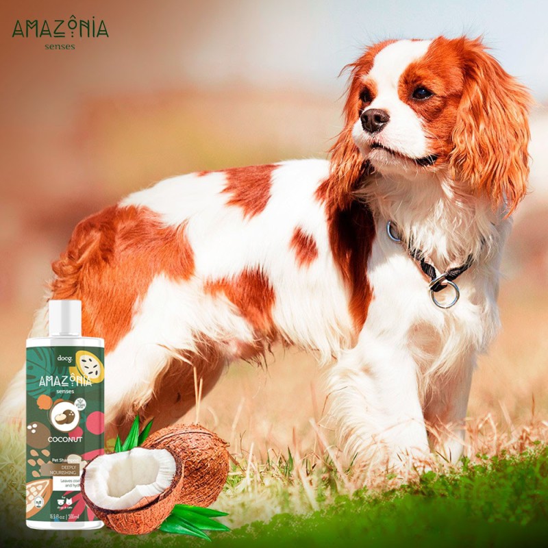 Shampoo para Perros y Gatos Amazonia Senses Coconut 500ml