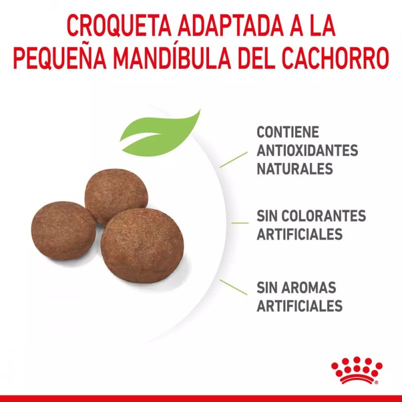Alimento Royal Canin SHN para Perros Medianos Puppy 1Kg