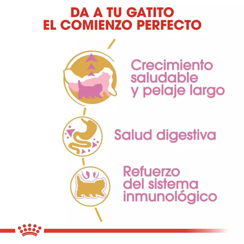 Alimento Royal Canin FBN para Gatitos Persa 4Kg