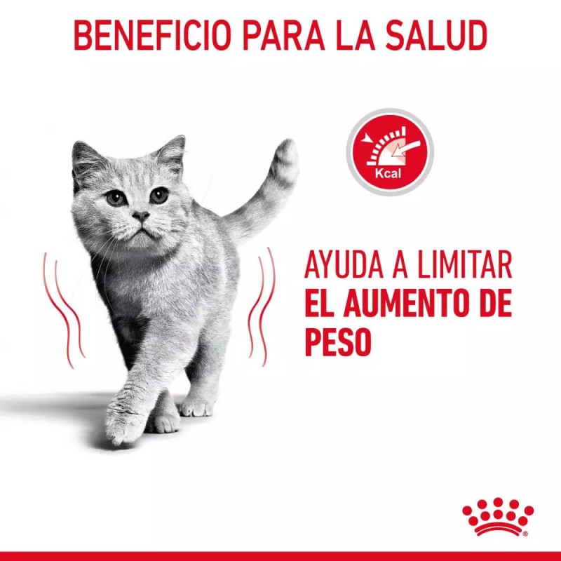 Salsa Royal Canin CCN para Control de Peso en Gatos 12x85gr -2