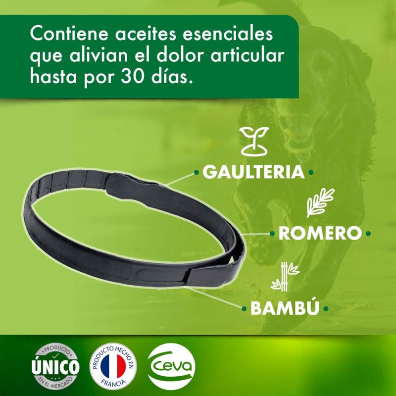 Yoos Collar Para Alivio Articular en Perros Talla M/L