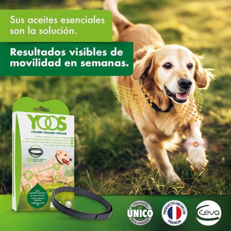 Yoos Collar Para Alivio Articular en Perros Talla M/L