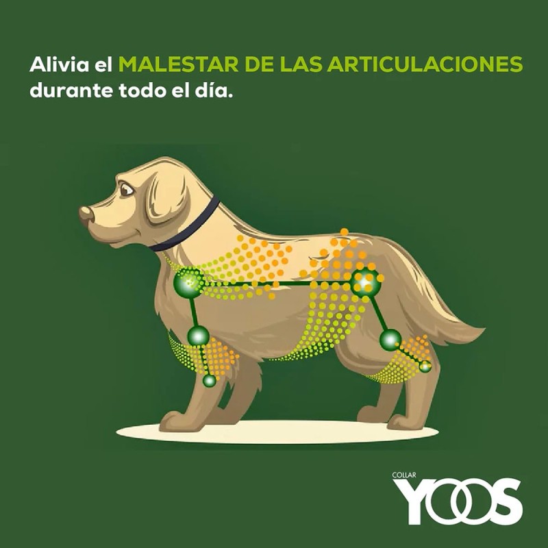 Yoos Collar Para Alivio Articular en Perros Talla M/L