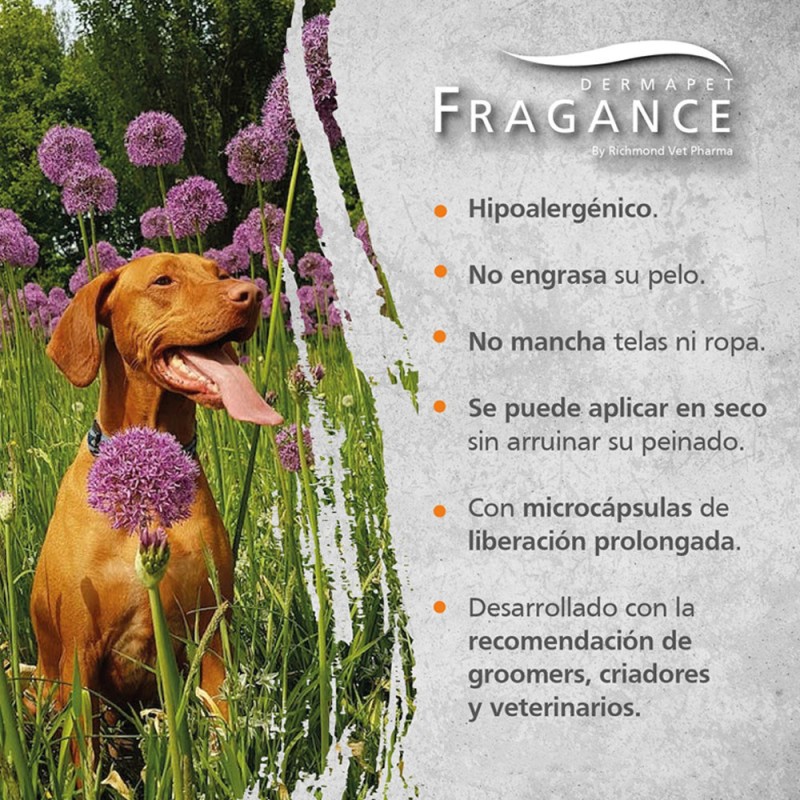 Colonia para Perros Dermapet Female 300ml | Patmo Pet
