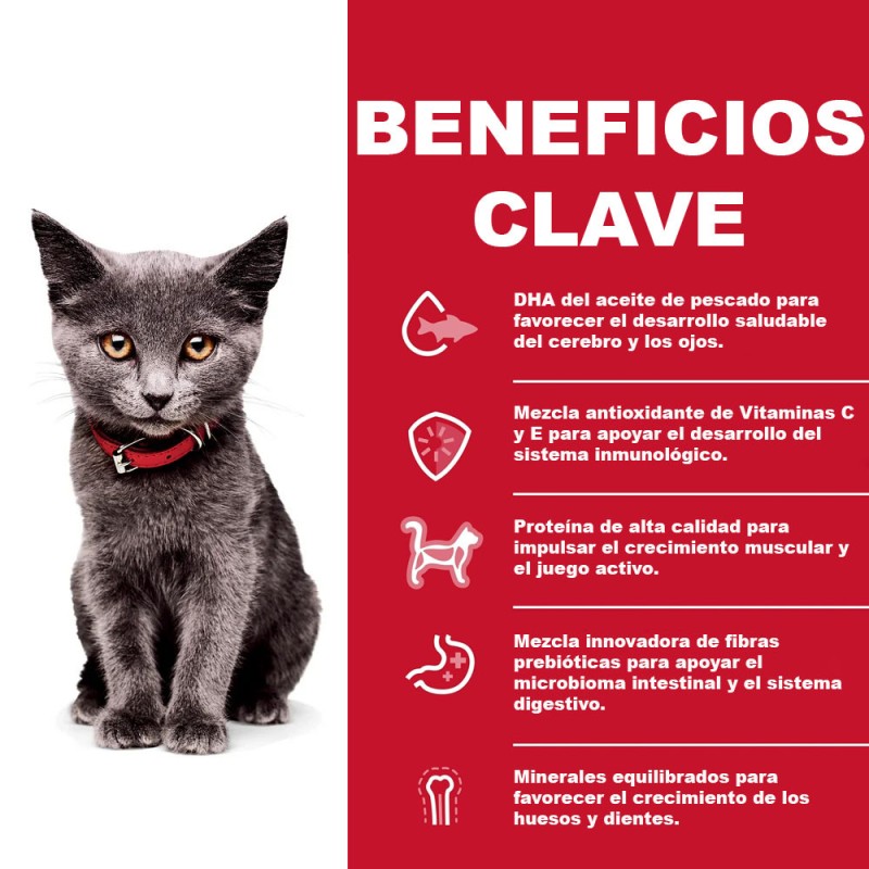 Alimento Hills Para Gatitos de Interior Indoor 1.6Kg
