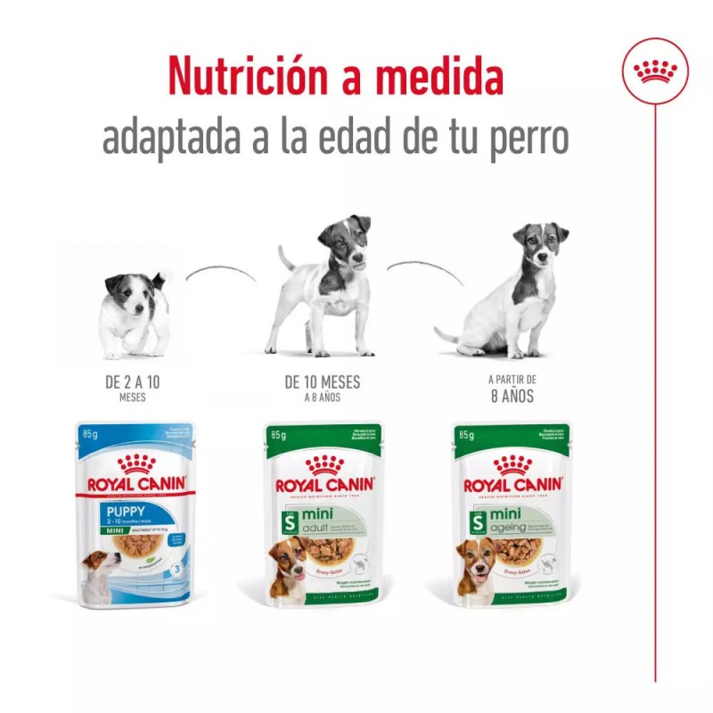 Salsa Royal Canin SHN para Perros Mini Adulto 12x85gr