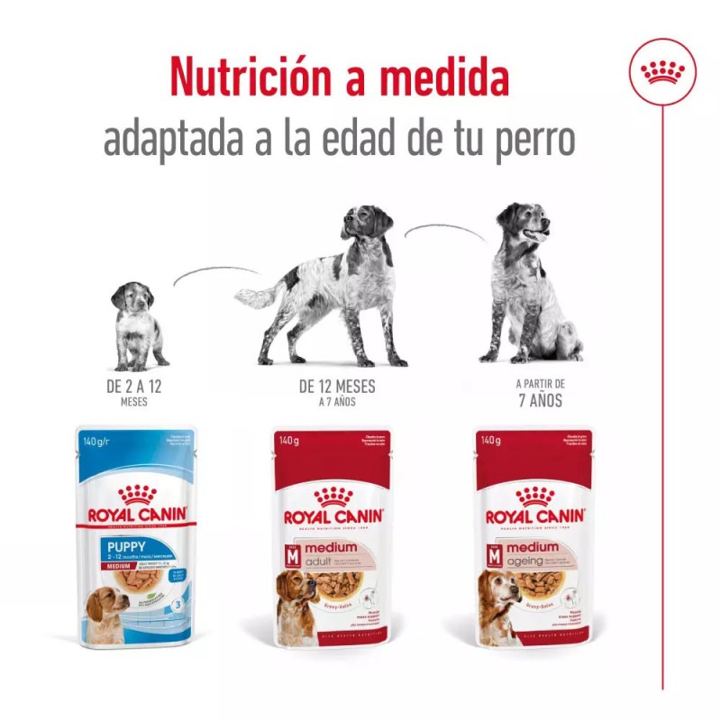 Salsa Royal Canin SHN para Perros Medianos Adultos 10x140gr
