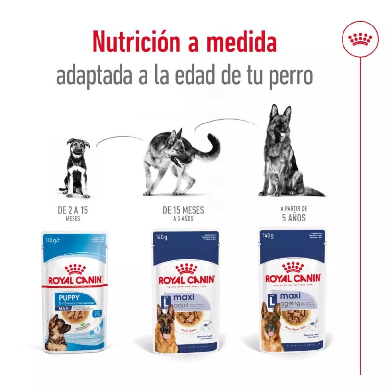 Salsa Royal Canin SHN para Perros Maxi Adultos 10x140gr