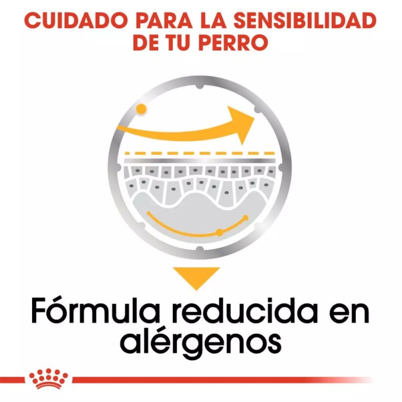 Paté Royal Canin CCN Dermacomfort Perro Piel Sensible 12x85gr