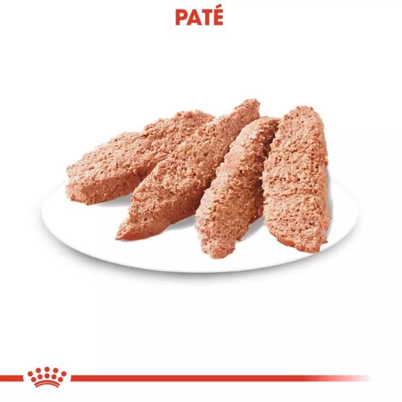Paté Royal Canin CCN Dermacomfort Perro Piel Sensible 12x85gr