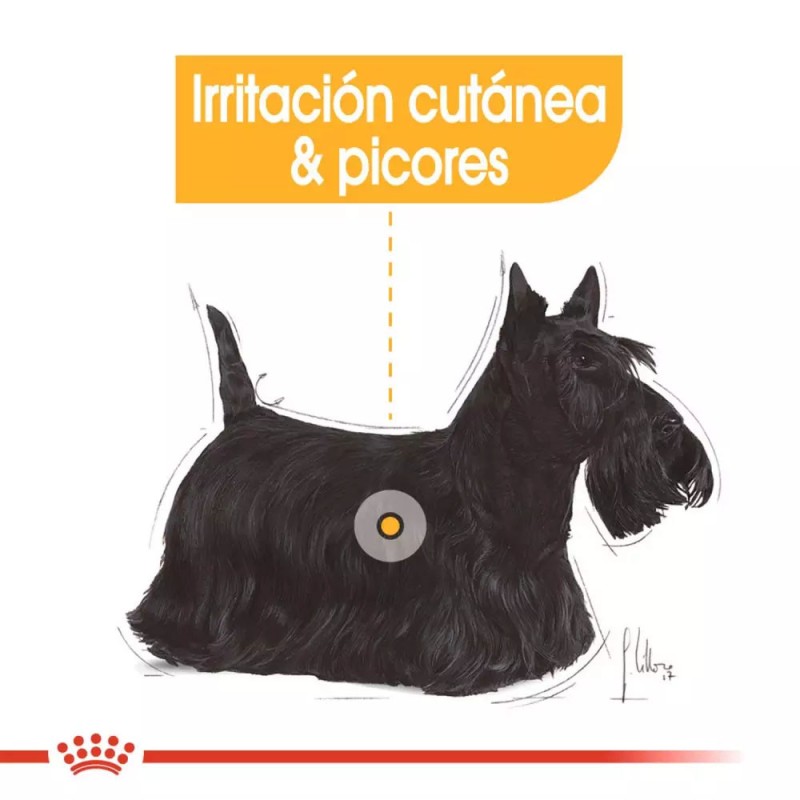 Alimento Royal Canin CCN Dermaconfort Perro Piel Sensible 3Kg