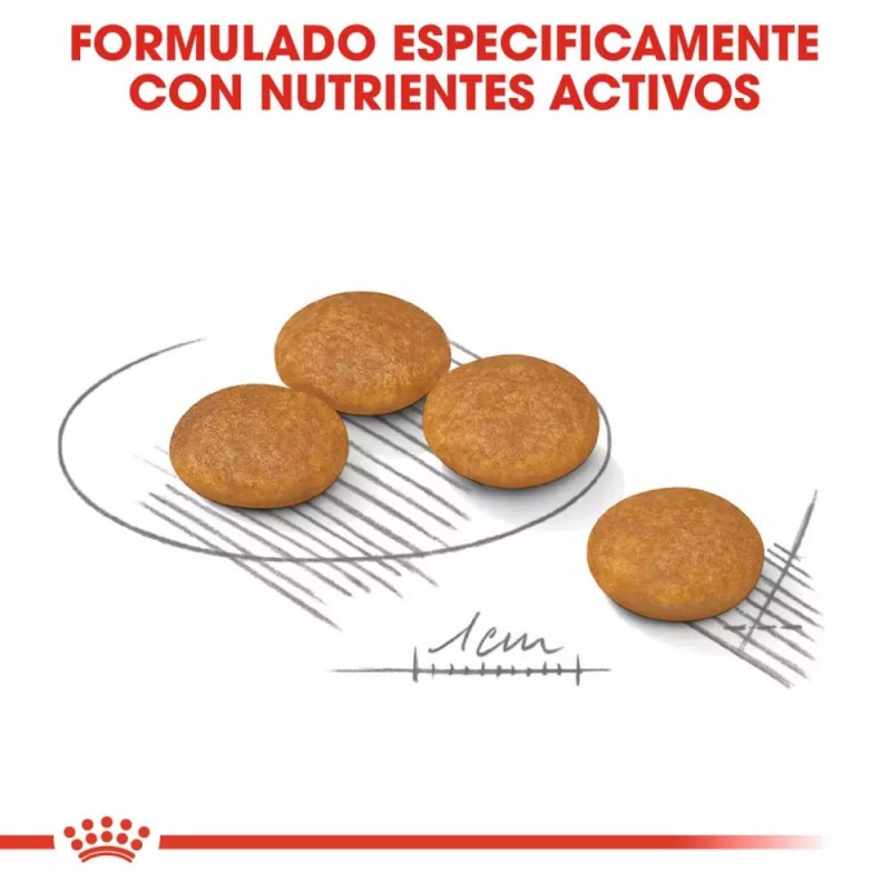 Alimento Royal Canin CCN Dermaconfort Perro Piel Sensible 3Kg