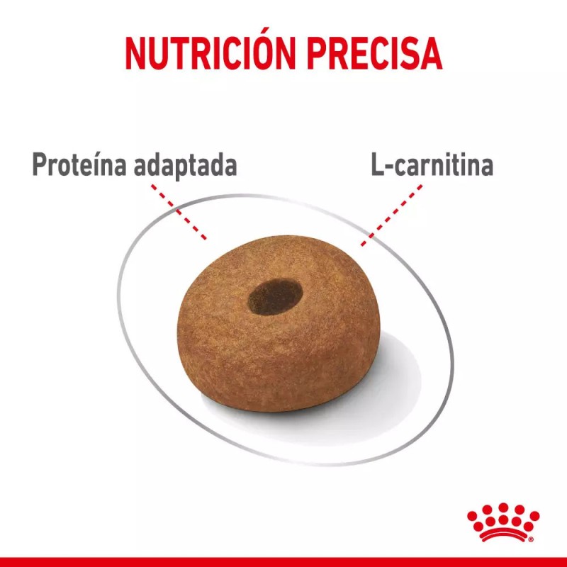 Alimento Royal Canin CCN Light Control Peso Perro Grande 12Kg