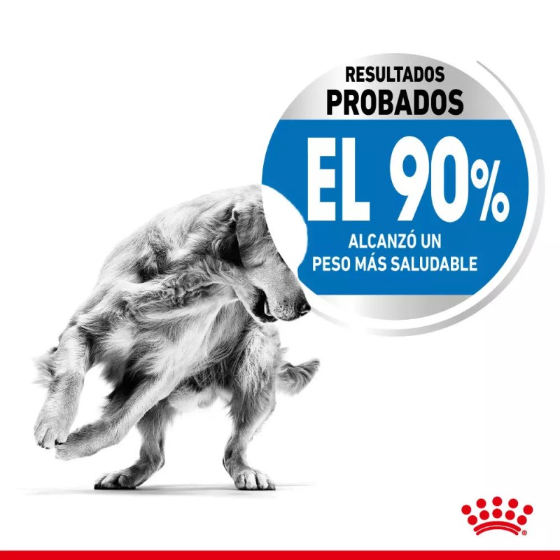 Alimento Royal Canin CCN Light Control Peso Perro Grande 12Kg