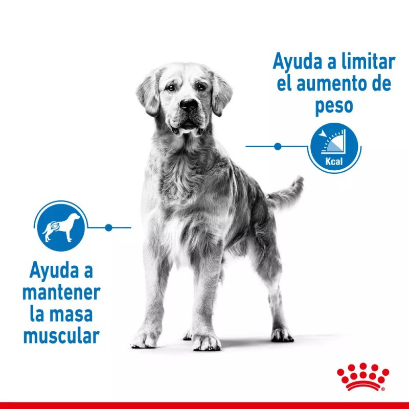 Alimento Royal Canin CCN Light Control Peso Perro Grande 12Kg