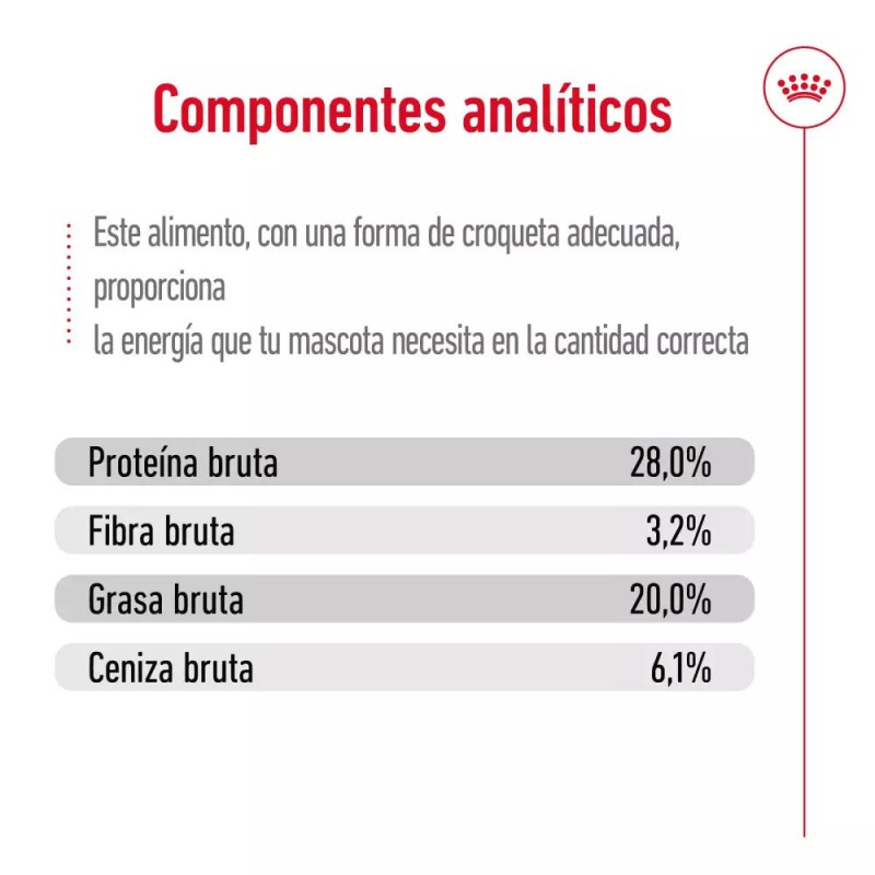 Alimento Royal Canin SHN para Perros Gigantes Adulto 15Kg