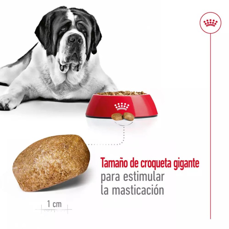 Alimento Royal Canin SHN para Perros Gigantes Adulto 15Kg