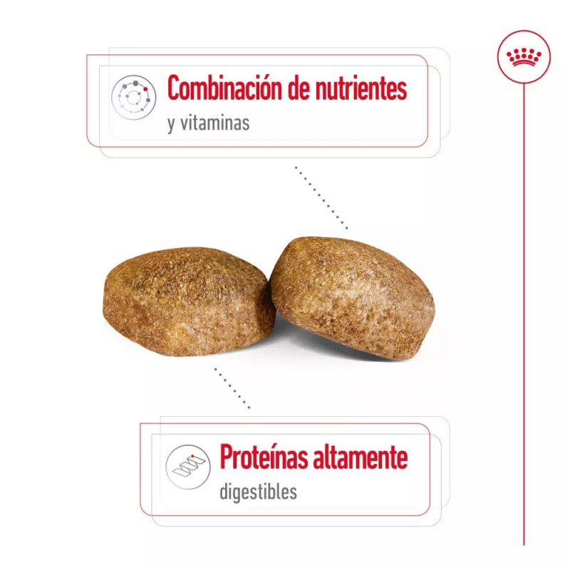 Alimento Royal Canin SHN para Perros Gigantes Adulto 15Kg