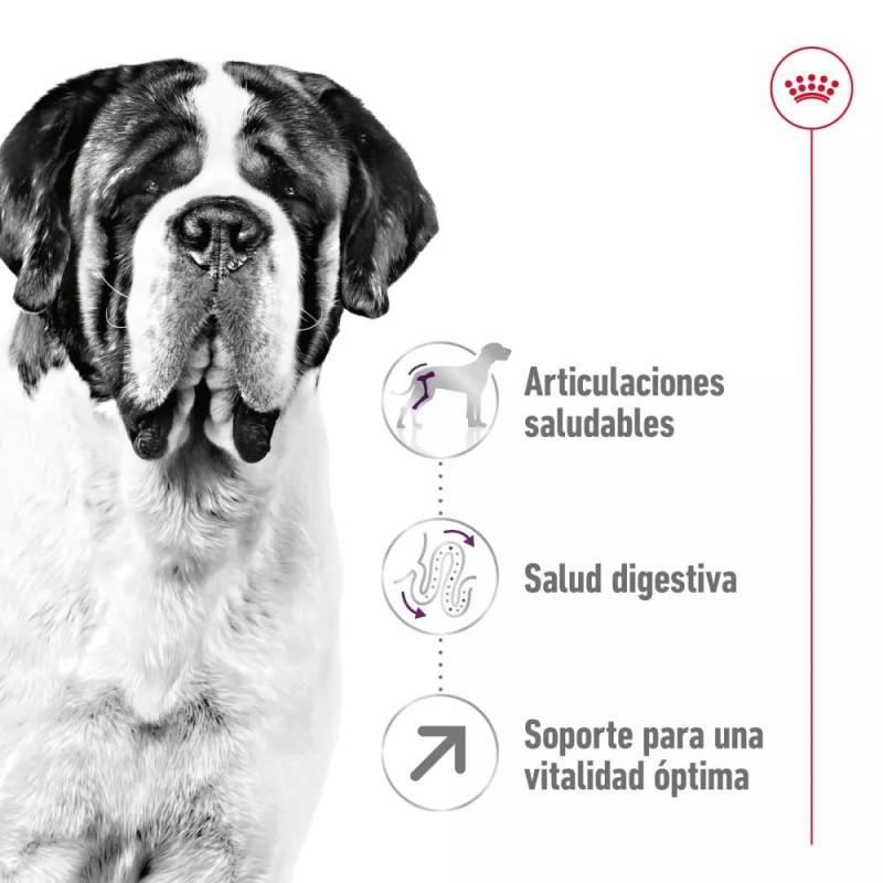 Alimento Royal Canin SHN para Perros Gigantes Adulto 15Kg