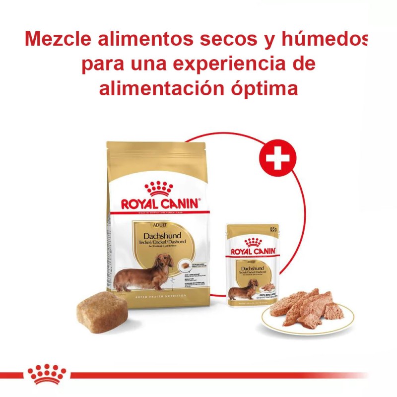 Alimento Royal Canin BHN Para Perros Dachshund Adulto 1.5Kg