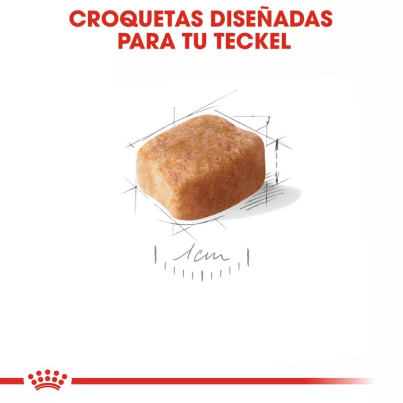 Alimento Royal Canin BHN Para Perros Dachshund Adulto 1.5Kg