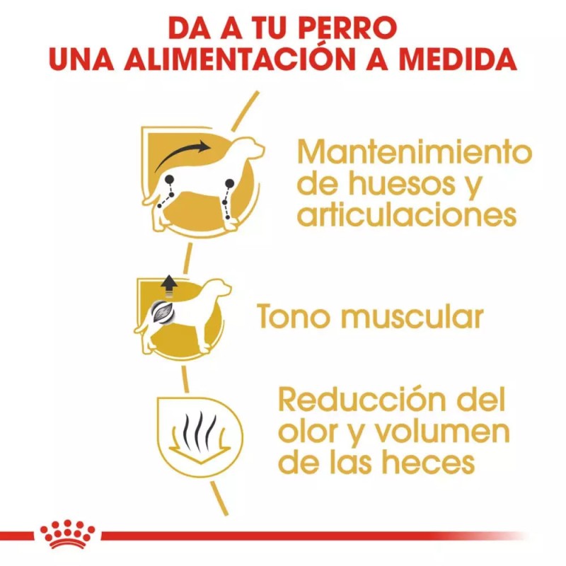 Alimento Royal Canin BHN Para Perros Dachshund Adulto 1.5Kg