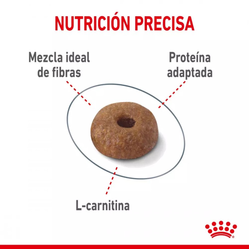 Alimento Royal Canin FCN Light para Control de Peso en Gatos 1.5Kg