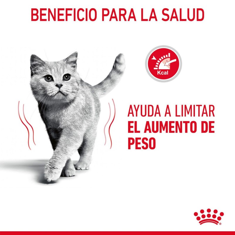 Alimento Royal Canin FCN Light para Control de Peso en Gatos 1.5Kg