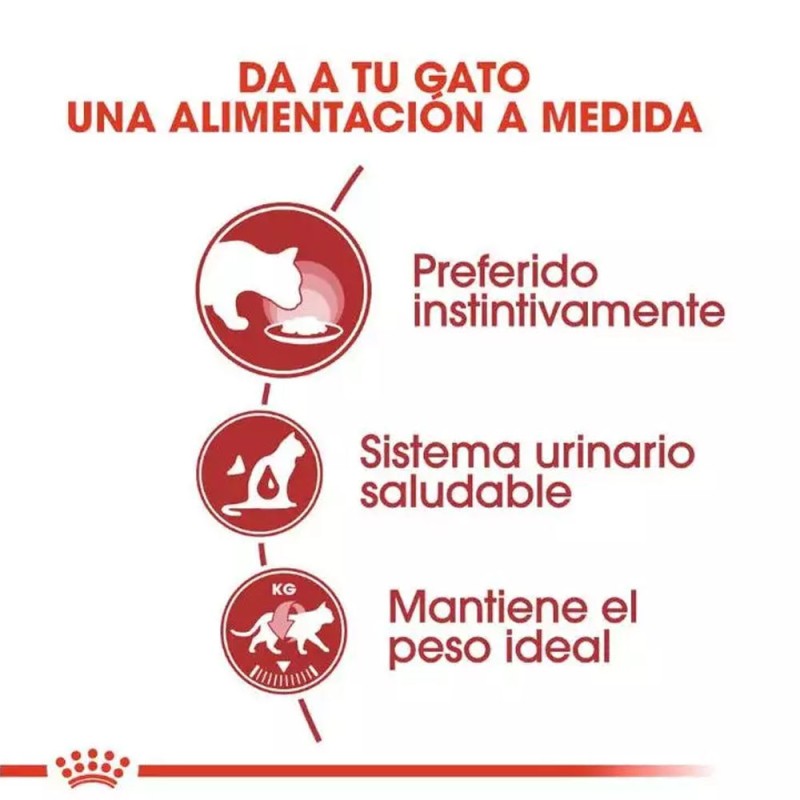 Royal Canin Alimento Humedo Salsa FHN Instinctive Gatos Adultos 12x85g