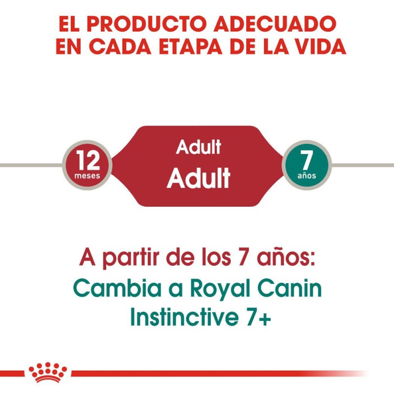 Royal Canin Alimento Humedo Salsa FHN Instinctive Gatos Adultos 12x85g