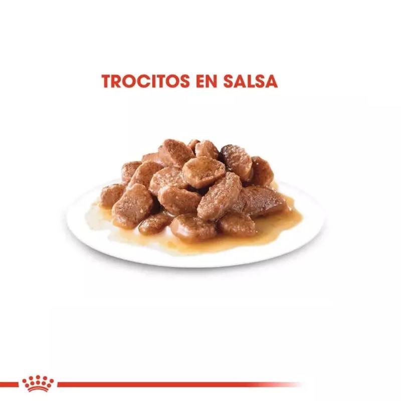 Royal Canin Alimento Humedo Salsa FHN Instinctive Gatos Adultos 12x85g