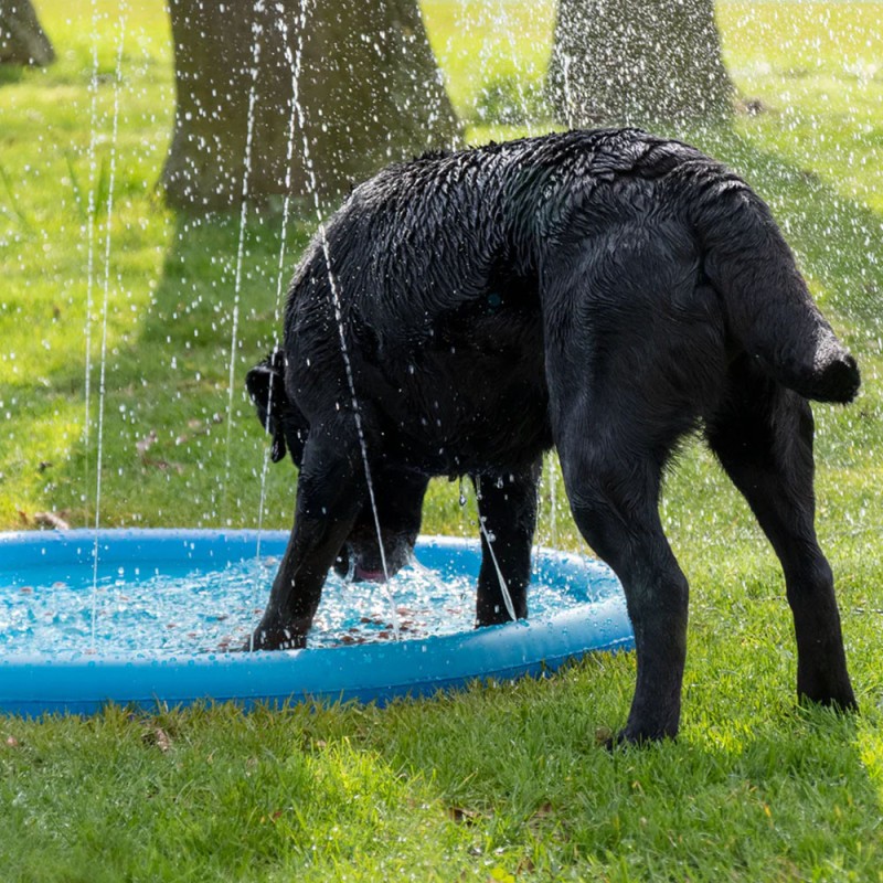 Piscina Tapete para perros con Aspersor agua Coolpets Splash