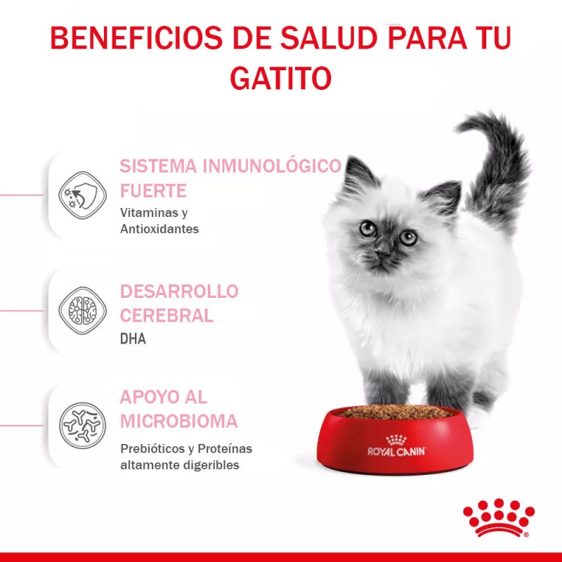 Alimento Royal Canin FHN para Gatitos 400gr