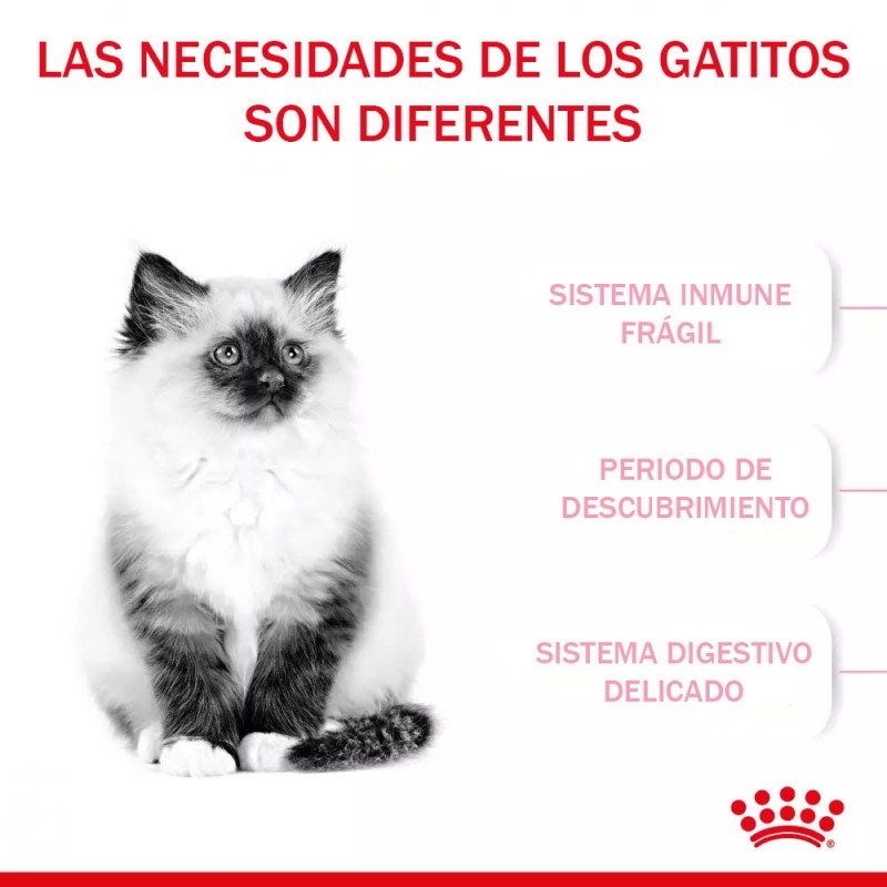 Alimento Royal Canin FHN para Gatitos 400gr