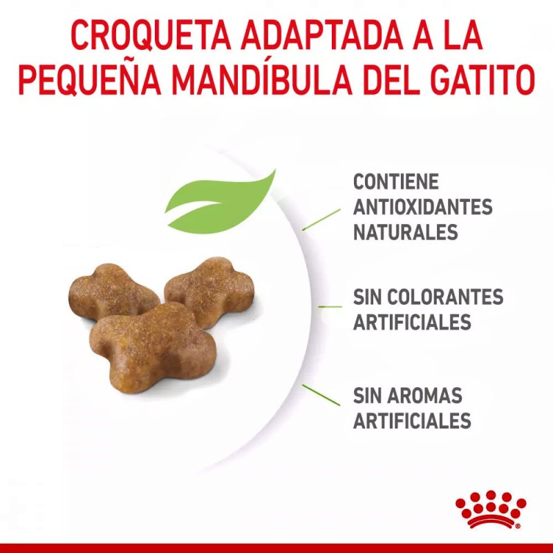 Alimento Royal Canin FHN para Gatitos 400gr