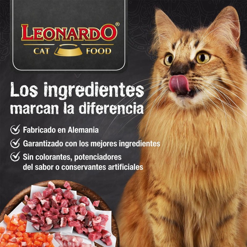 Leonardo Quality Selection para Gatitos Lata 400gr x 6und