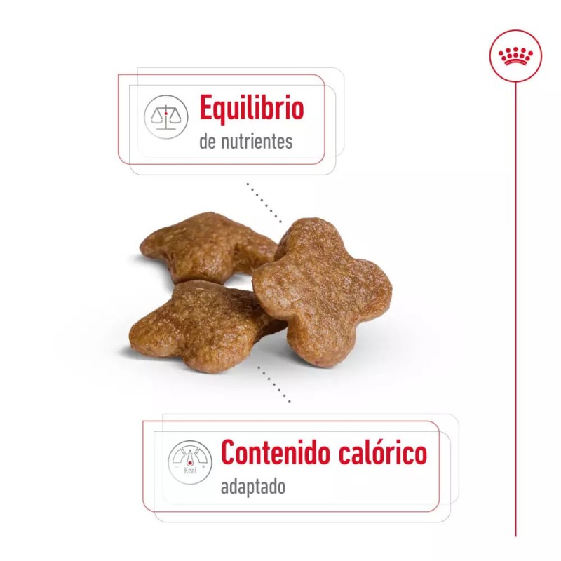Alimento Royal Canin SHN Para Perros Mini Adulto +8 años 2Kg