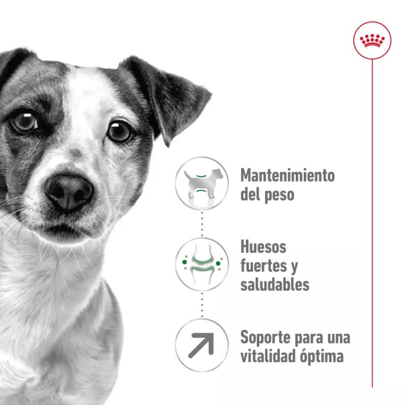 Alimento Royal Canin SHN Para Perros Mini Adulto +8 años 2Kg