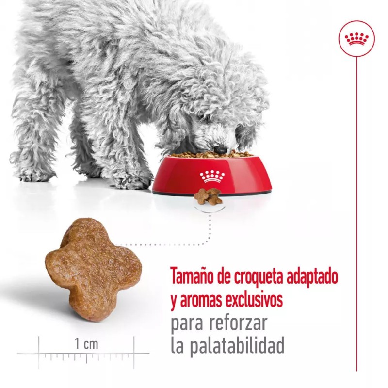 Alimento Royal Canin SHN Para Perros Mini Adulto +8 años 2Kg
