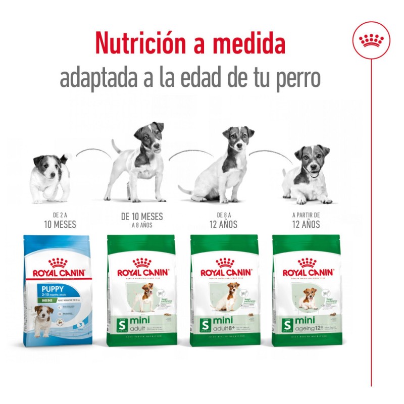 Alimento Royal Canin SHN Perros Mini Adulto +12 años 3.5Kg