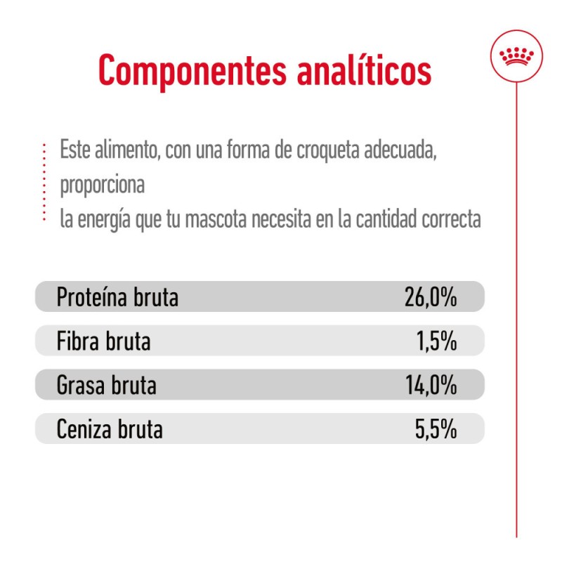 Alimento Royal Canin SHN Perros Mini Adulto +12 años 3.5Kg