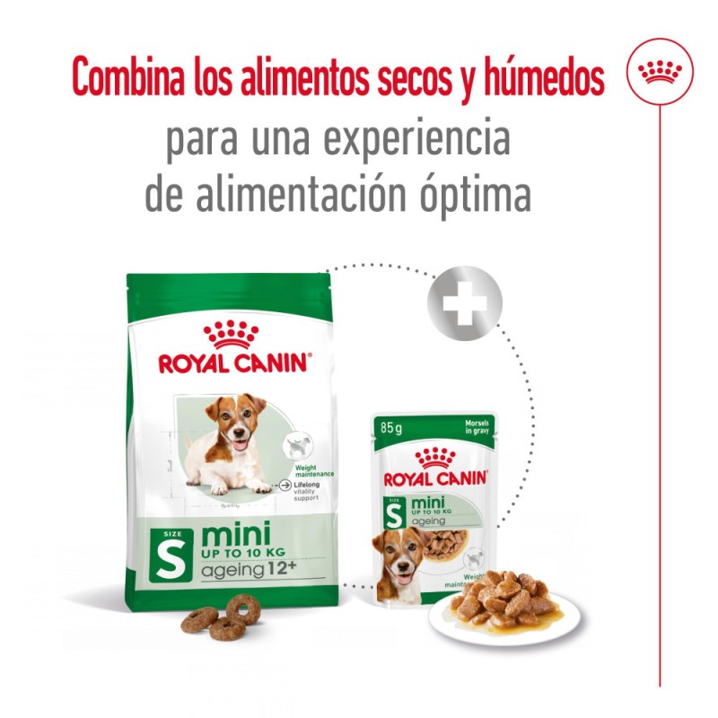 Alimento Royal Canin SHN Perros Mini Adulto +12 años 3.5Kg