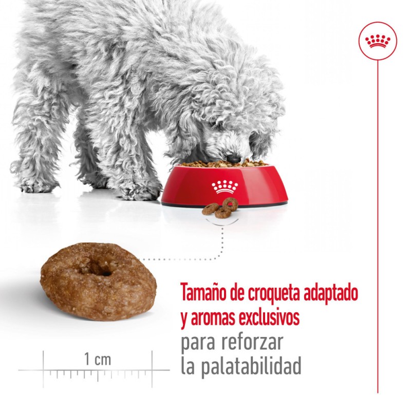 Alimento Royal Canin SHN Perros Mini Adulto +12 años 3.5Kg