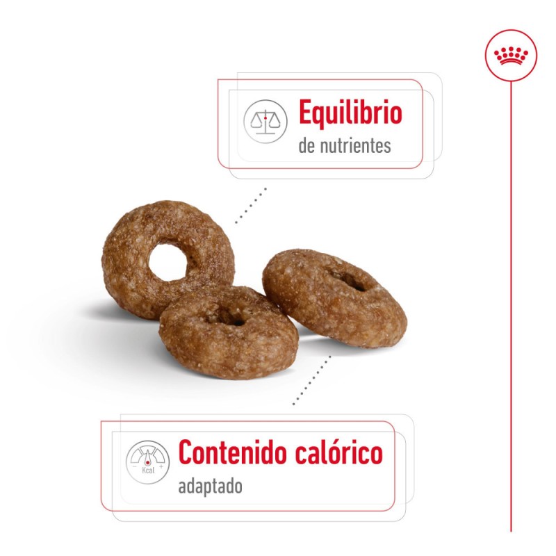 Alimento Royal Canin SHN Perros Mini Adulto +12 años 3.5Kg