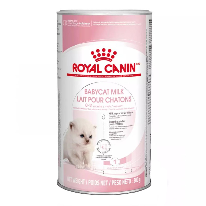 Leche para Gatitos Royal Canin 300g | Sustituto Lácteo | Patmo Pet