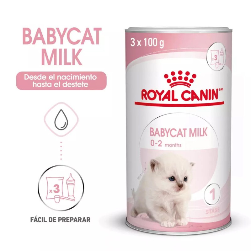 Leche para Gatitos Royal Canin 300g | Sustituto Lácteo | Patmo Pet