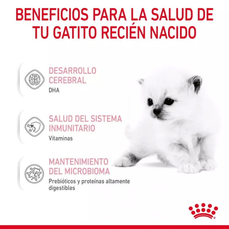 Leche para Gatitos Royal Canin 300g | Sustituto Lácteo | Patmo Pet