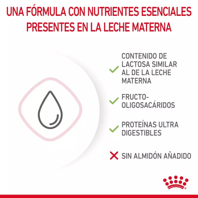 Leche para Gatitos Royal Canin 300g | Sustituto Lácteo | Patmo Pet